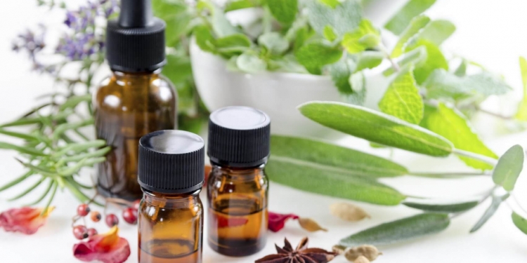 Learn About Essential Oils and Herbs How Works in Everyday