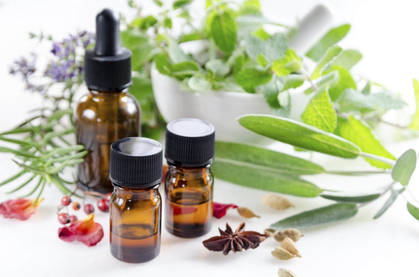 Learn About Essential Oils and Herbs How Works in Everyday