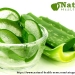 Aloe-Vera-Gel-for-Skin-and-Beauty