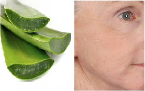 Aloe-Vera-Gel-for-Anti-Aging