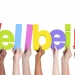 Wellbeing for Life a Families Information Service
