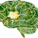 Brain Health