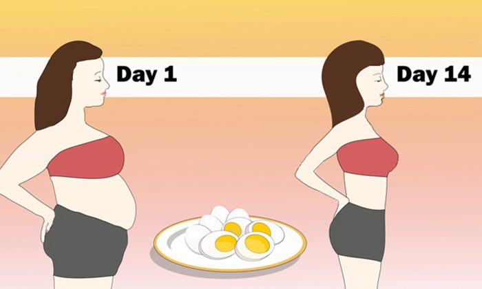 Egg Diet Plan for Weight Loss Reduce Your Belly Fat