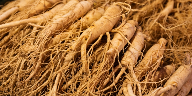 Ginseng