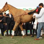 Zameen National Open 2020 Polo Championship Final at Lahore Polo Club (7)