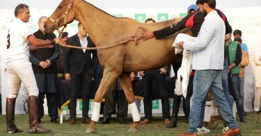 Zameen National Open 2020 Polo Championship Final at Lahore Polo Club (7)