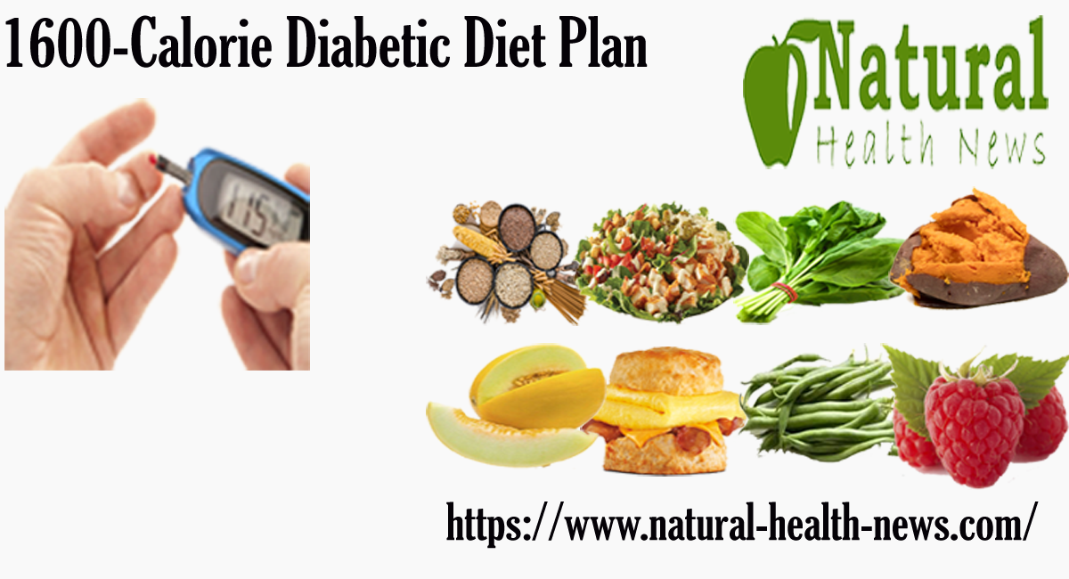 1600 Calorie Diabetic Diet Plan