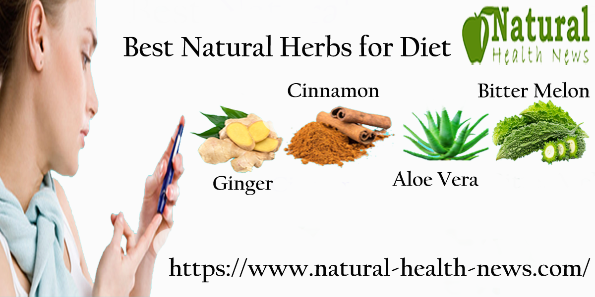 Herbs Good for Diabetes