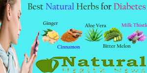 Herbs Good for Diabetes