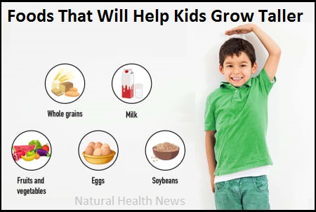 Foods That Will Help Your Kids Grow Taller and Stronger