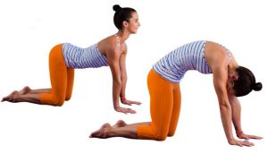 yoga poses to relieve back pain