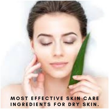 6 Most Effective Skin Care Ingredients for Dry Skin