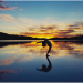 The Wonderful Benefits of Meditation for Brain and Body