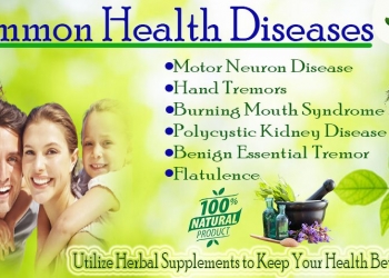 Herbal Supplements for Health Disease