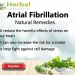Herbal Supplement for Atrial Fibrillation