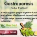 Herbal Remedies for Gastroparesis