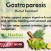 Herbal Remedies for Gastroparesis