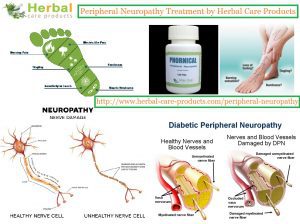 Herbal Supplement for Peripheral Neuropathy