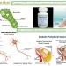 Herbal Supplement for Peripheral Neuropathy