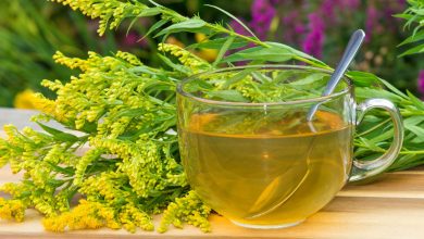 5 Refreshing Goldenrod Tea Recipes to Boost Your Well-being