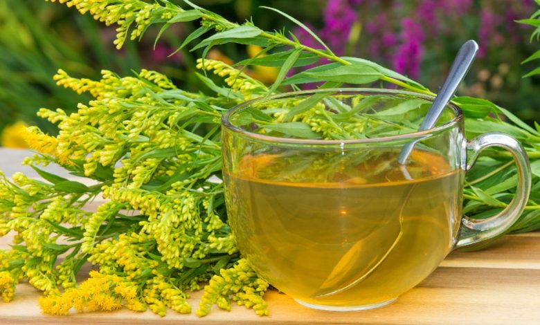 5 Refreshing Goldenrod Tea Recipes to Boost Your Well-being