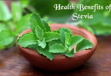 Harness the Powerful Health Benefits of Stevia for Your Body