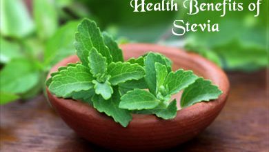 Harness the Powerful Health Benefits of Stevia for Your Body