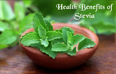 Harness the Powerful Health Benefits of Stevia for Your Body