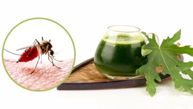 10 Natural Remedies for Dengue and Essential Diet Tips for a Speedy Recovery