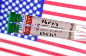Department of Agriculture to pay farmers for milk loss due to bird flu