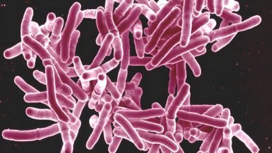 Woman who went on the lam with untreated TB is now cured