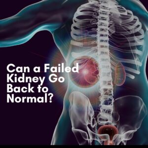 Can a Failed Kidney Go Back to Normal