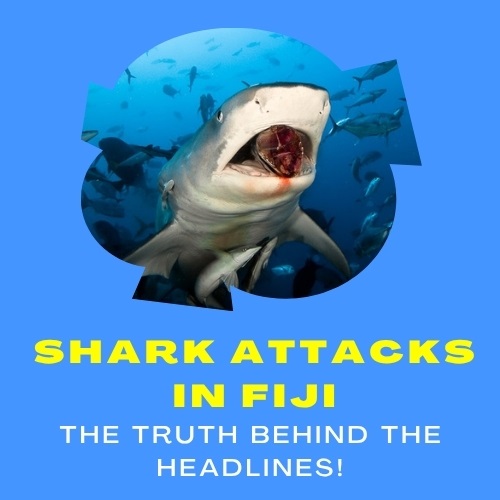 Shark Attacks in Fiji: The Truth Behind the Headlines! - Natural Health News