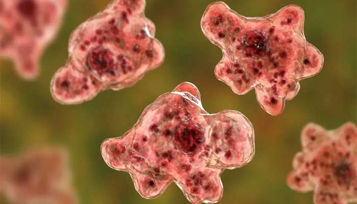 Brain-Eating Amoeba Kills Patient in South Carolina
