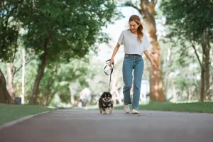 Micro Walk
