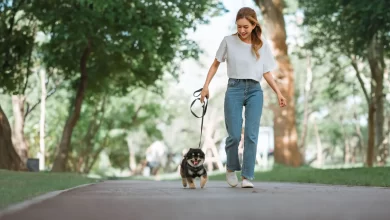Micro Walk