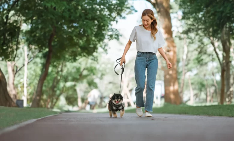 Micro Walk
