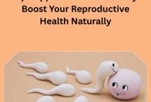 Top Supplements for Fertility