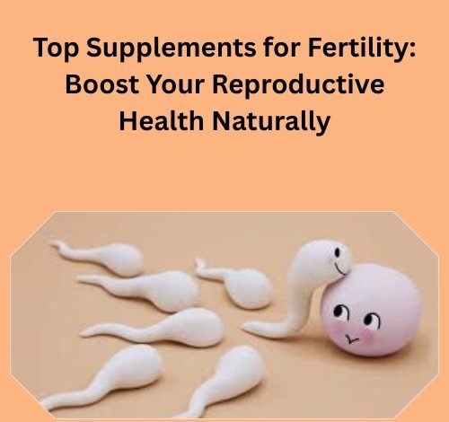 Top Supplements for Fertility