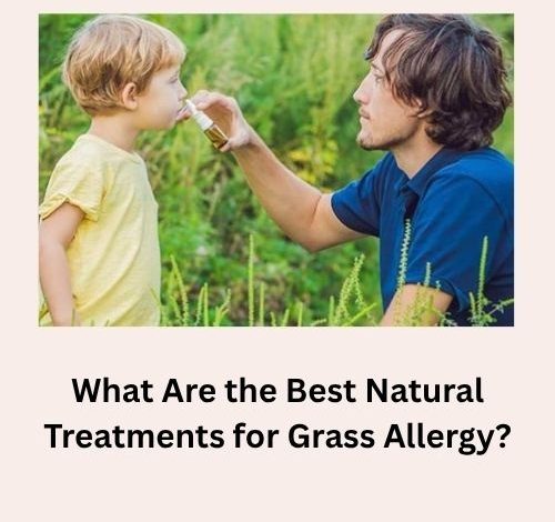 What Are the Best Natural Treatments for Grass Allergy