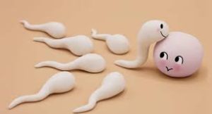 fertility