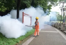 chikungunya virus outbreak china