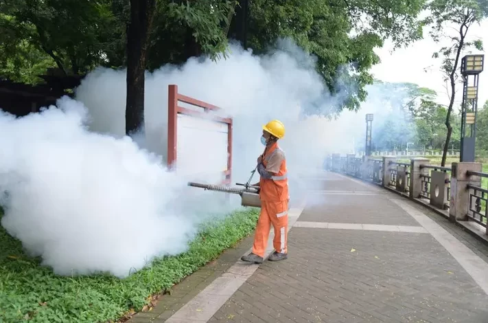 chikungunya virus outbreak china