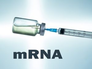 mRNA Vaccines