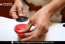 Biomagnetic-Therapy-Training.png