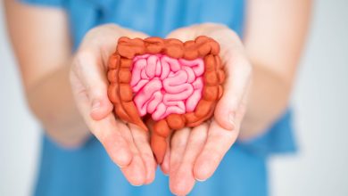 Our Gut Health Could Be the Secret to Living Longer