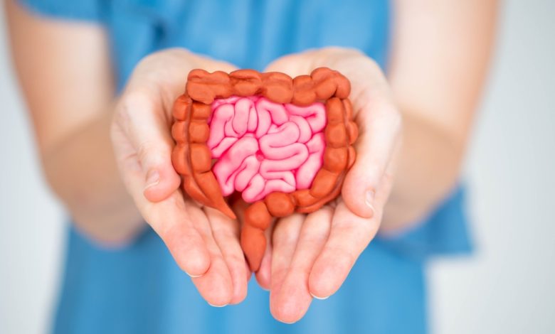 Our Gut Health Could Be the Secret to Living Longer