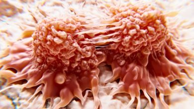 Breakthrough Light Therapy Kills Cancer Cells in Just 30 Minutes