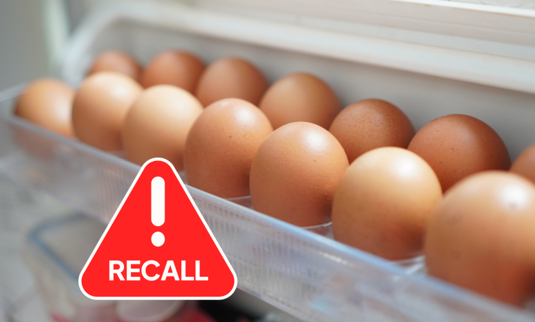 FDA Flags 6 Million Eggs for Urgent Recall Over Safety Concerns