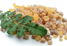 One Powerful Herb for Both Skin Hydration and Joint Relief